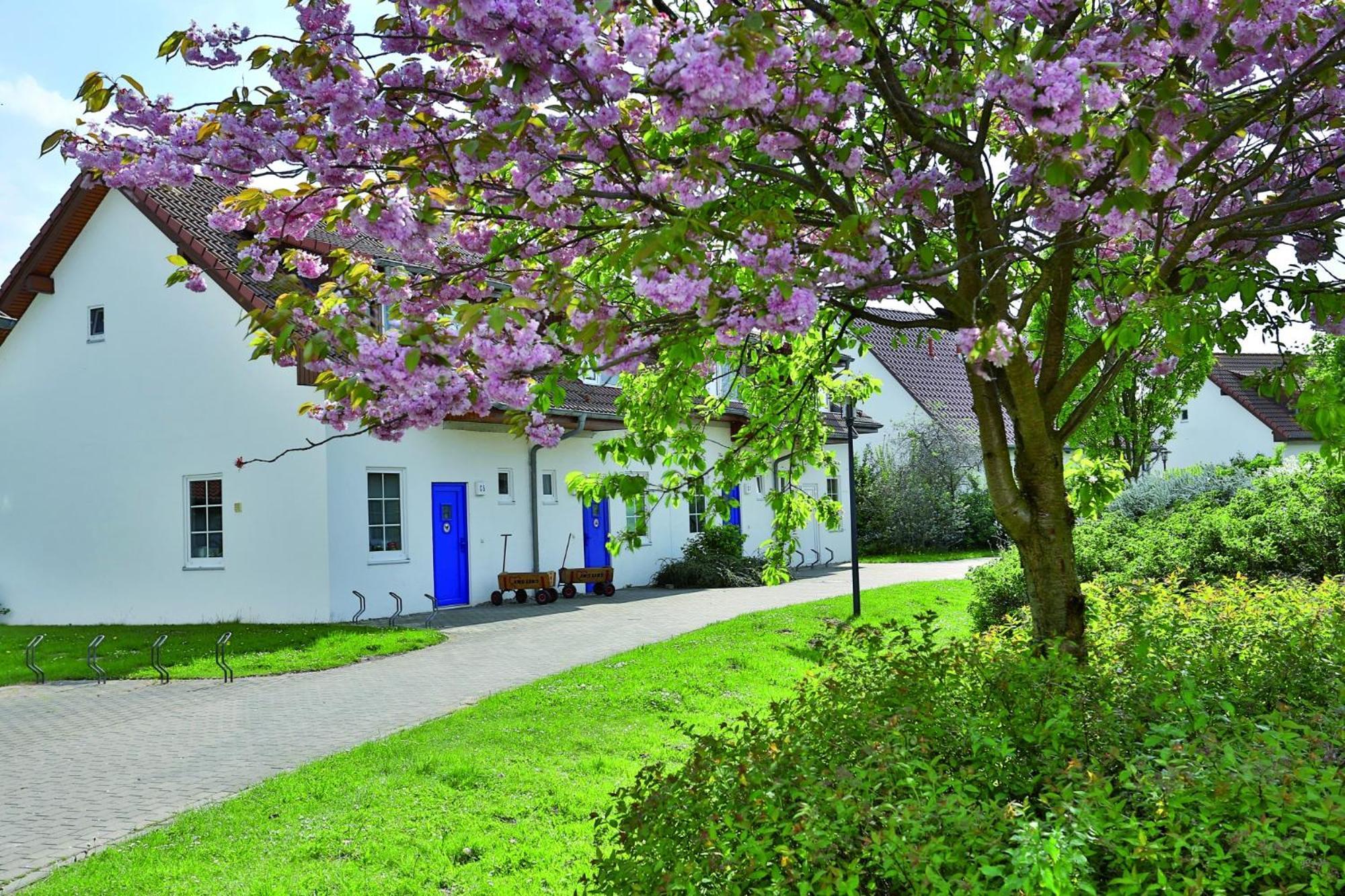 Feriendorf Rerik Buitenkant foto